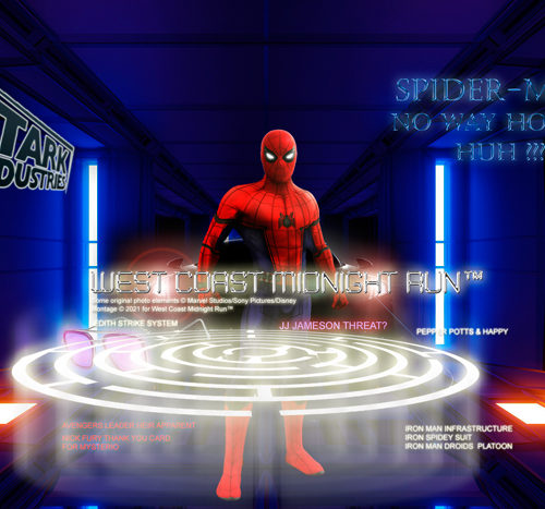 Spiderman No Way Home Huh? Montage Poster for Dowload